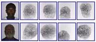 Soluo Biomtrica BioAnalyserWeb