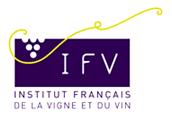 Instituto Francs da Vinha e do Vinho